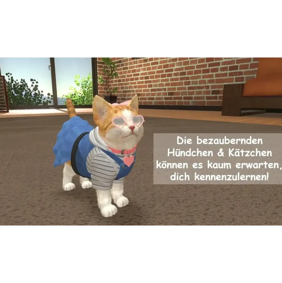 Little Friends: Dogs Cats (USK) (Nintendo Switch)