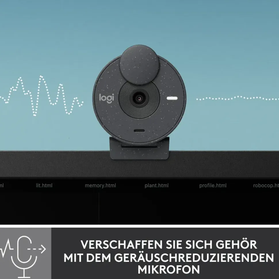 Logitech Brio 300 graphite