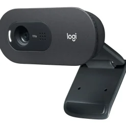 Logitech C505 Schwarz/Grau