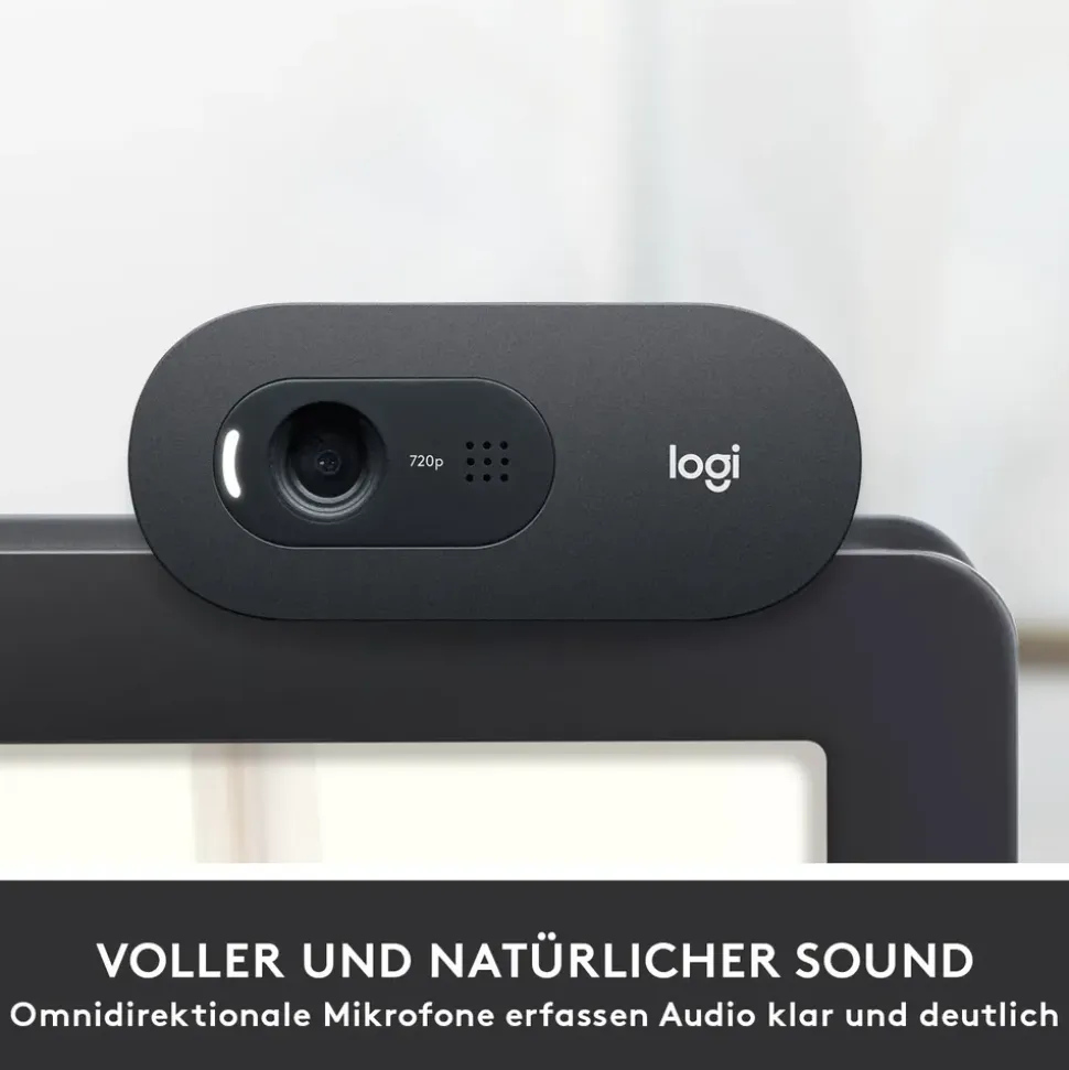 Logitech C505 Schwarz/Grau