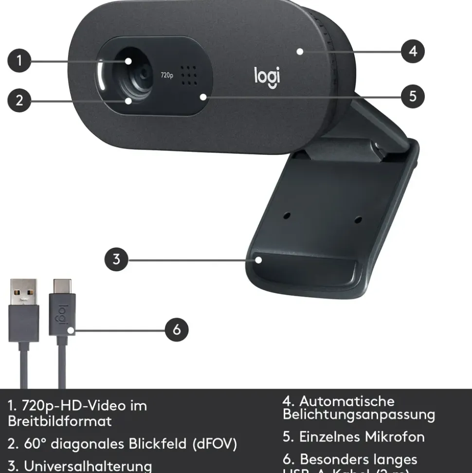 Logitech C505 Schwarz/Grau