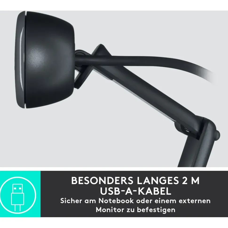Logitech C505 Schwarz/Grau