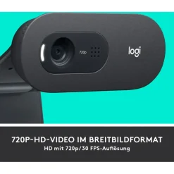 Logitech C505 Schwarz/Grau
