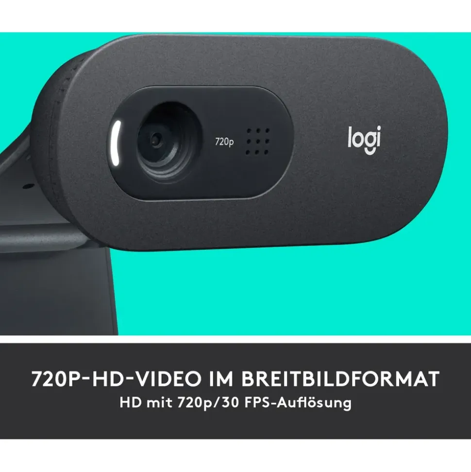 Logitech C505 Schwarz/Grau