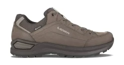 Lowa Renegade Evo GTX Lo Herren