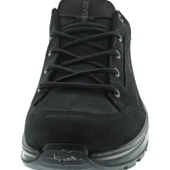 Lowa Renegade GTX LO Herren