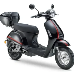LUXXON E3000 3000 Watt 45 km/h schwarz