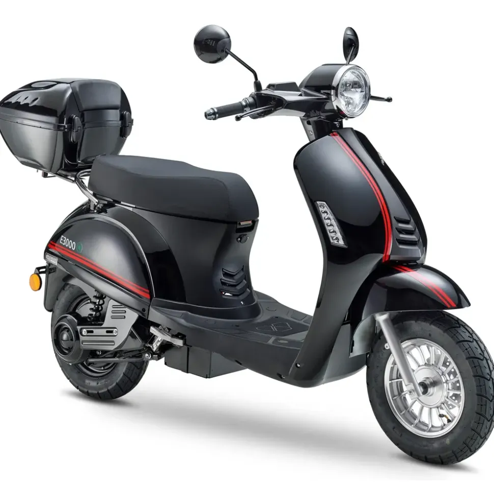 LUXXON E3000 3000 Watt 45 km/h schwarz