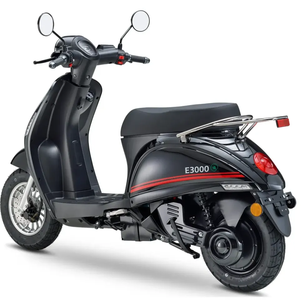 LUXXON E3000 3000 Watt 45 km/h schwarz