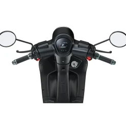 LUXXON E3000 3000 Watt 45 km/h schwarz