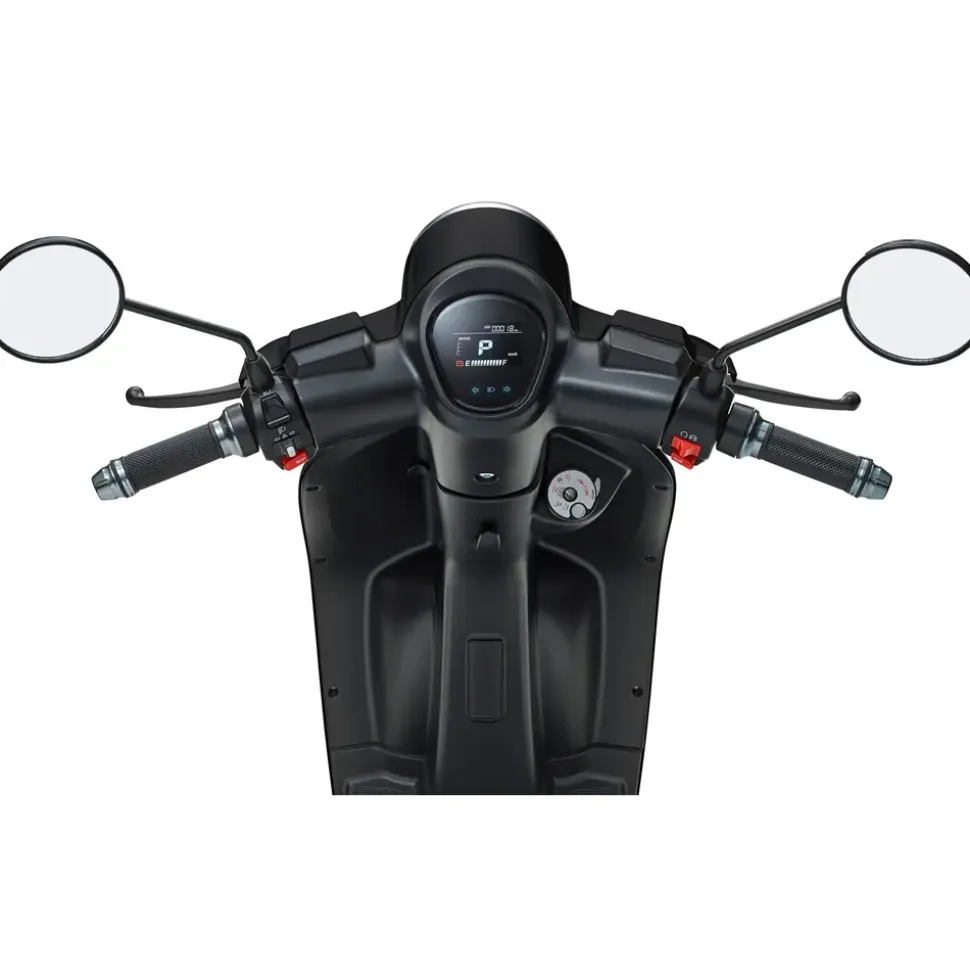 LUXXON E3000 3000 Watt 45 km/h schwarz