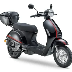 LUXXON E3000 3000 Watt 25 km/h schwarz