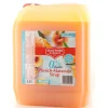 Mautner Markhof Pfirsich-Maracuja Sirup 5000 ml