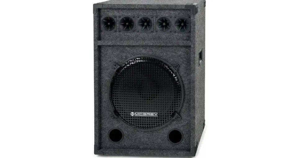 McGrey Festival 15 PA Lautsprecher - Lautsprecherbox mit 38cm (15") Subwoofer - DJ Box mit Holzgehäuse und Tragegriffen - 2-Wege Speaker mit 600W