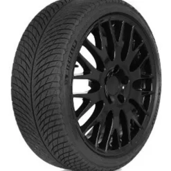 Michelin Pilot Alpin 5