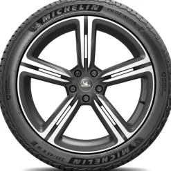 Michelin Pilot Alpin 5