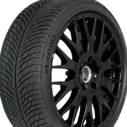 Michelin Pilot Alpin 5