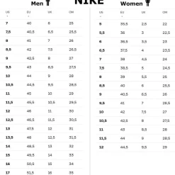 Nike Air Monarch IV White/Metallic Silver 44,5