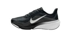 Nike Pegasus 42