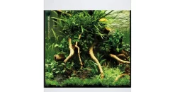 OASE StyleLine 85 85 l Aquarium weiß