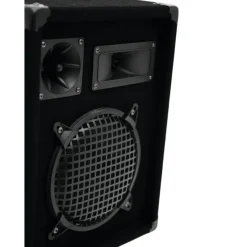 Omnitronic DX-822 Passiv 8 Zoll 300 Watt 8 Ohm