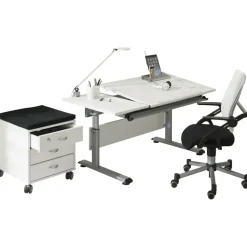 Paidi Schreibtisch Marco 2 GT weiß / silber