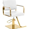 Physa Friseurstuhl mit Fußstütze 50 66 cm 200 kg weiß/golden - Friseurstühle