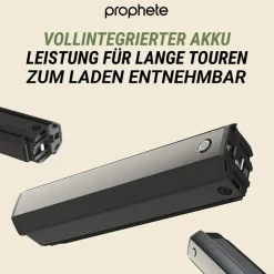 Prophete Geniesser 6.0 28 Zoll RH 54 cm Schwarz