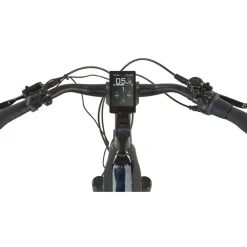 Prophete Geniesser 6.0 28 Zoll RH 54 cm Schwarz