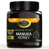 Pure Gold Premium Manuka-Honig, MGO-Gehalt 300 mg + 250g