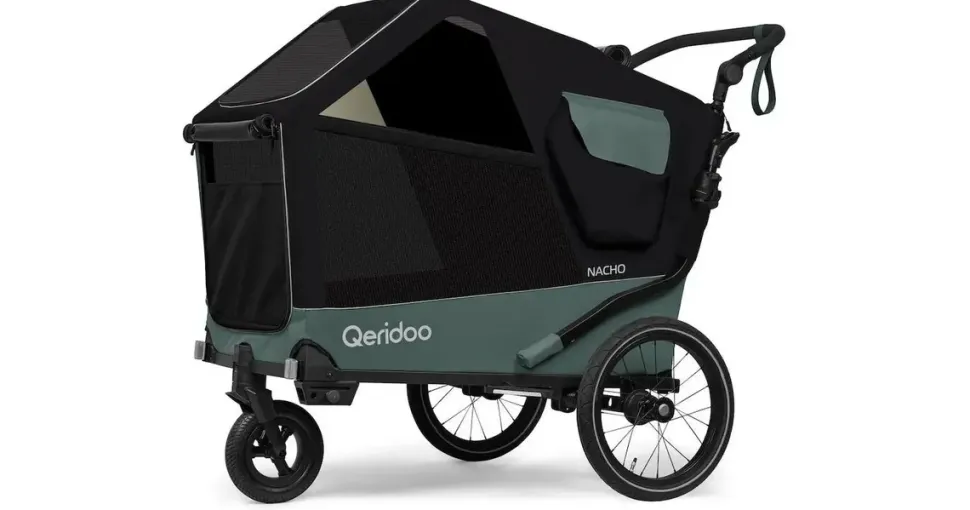 Qeridoo Nacho L Green
