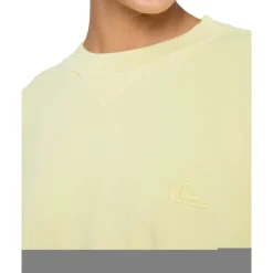 QUIKSILVER Essential Crew garden glade, M