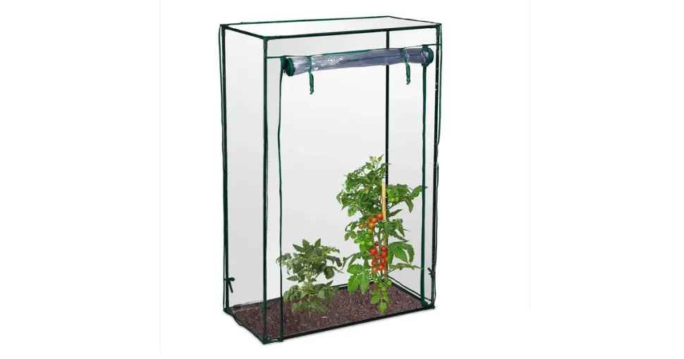 Relaxdays Tomatengewächshaus 1 x 0,5 x 1,5 m transparent/grün
