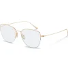 Rodenstock R7132 Gold 55/16/145 UNISEX Brillen - 55/16/145