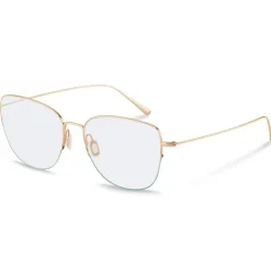 Rodenstock R7132 Gold 55/16/145 UNISEX Brillen - 55/16/145