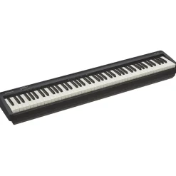 Roland FP-10 BK | Stagepiano