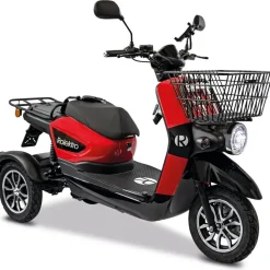 Rolektro E-Carrier 25 V.3