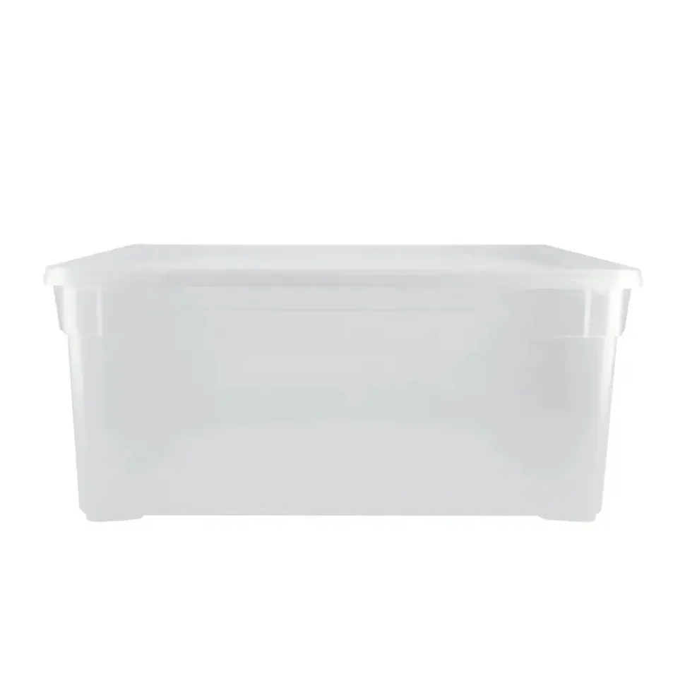 Rotho Aufbewahrungsbox 18 l transparent