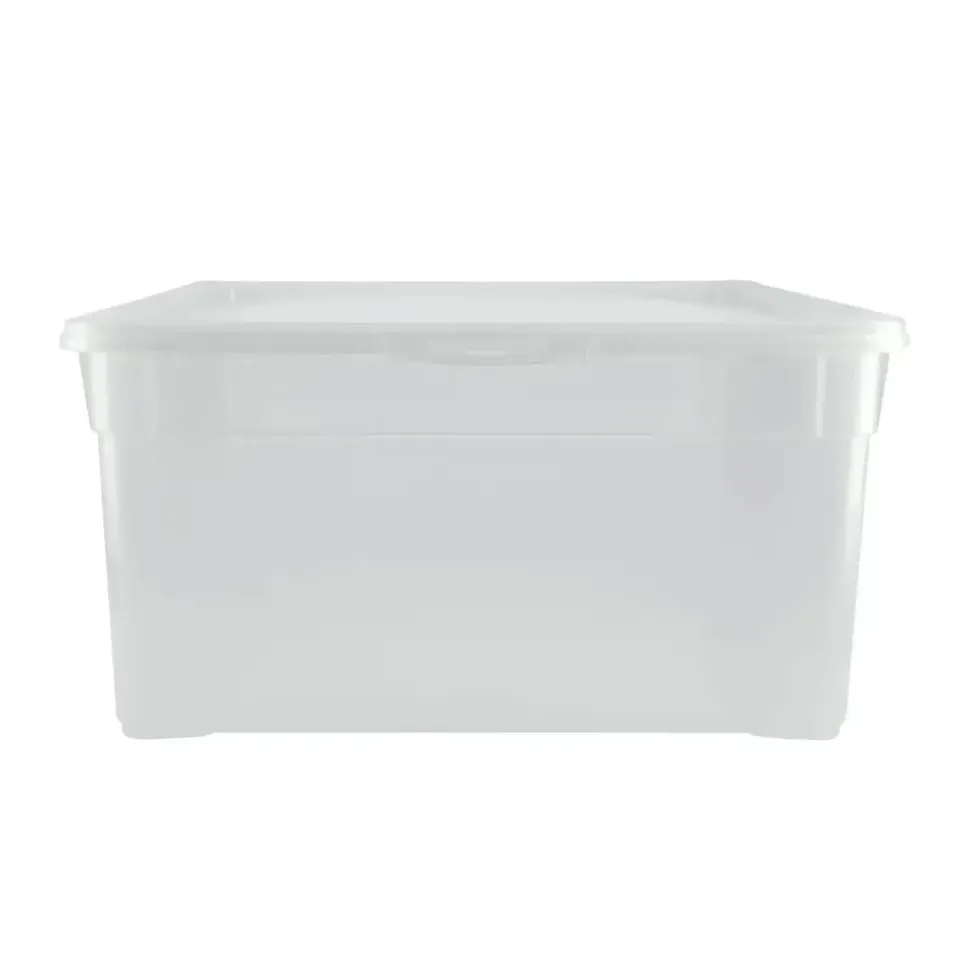 Rotho Aufbewahrungsbox 18 l transparent