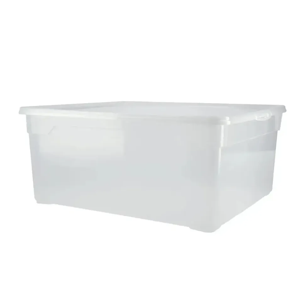 Rotho Aufbewahrungsbox 18 l transparent