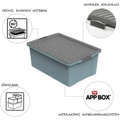 Rotho Compact Aufbewahrungsbox 57 x 40 x 25 cm 1-tlg. blau