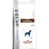 Royal Canin Gastrointestinal
