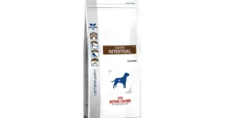 Royal Canin Gastrointestinal