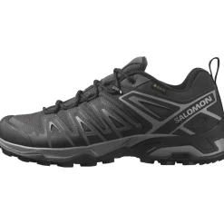Salomon X Ultra Pioneer Gore-Tex Herren