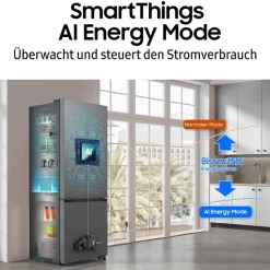 Samsung RB6000D Kühl-Gefrierkombination