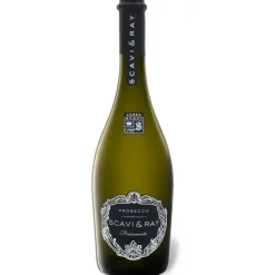 Scavi & Ray Prosecco DOC Frizzante 10,5 % vol 0,75 l