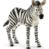Schleich Wild Life Zebra Fohlen 14811