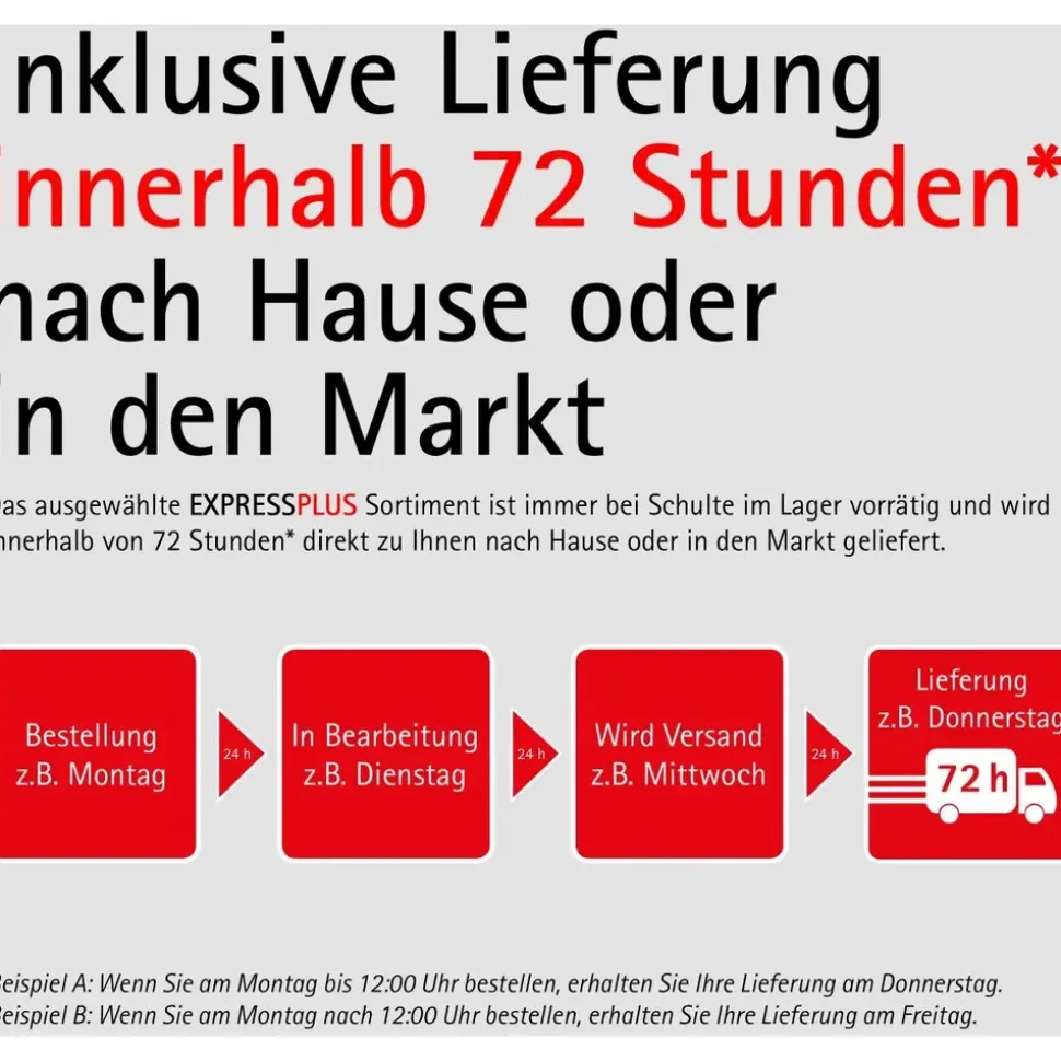 Schulte Ibiza Komplettdusche links 90 x 120 cm EP19382501502204