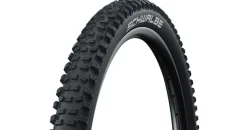 Schwalbe Hans Dampf