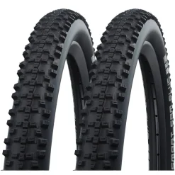 Schwalbe Smart Sam Plus